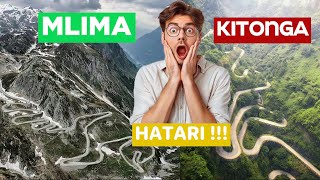 MLIMA KITONGA KUTOKA JUU MPAKA CHINI SAFARI NDEFU. TANZANIA NI ASILI