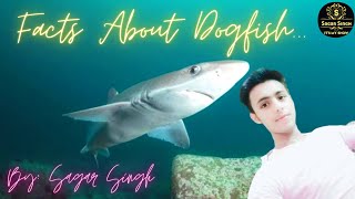 Facts: The Spiny Dogfish