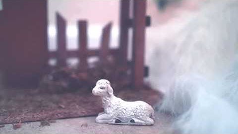 Christmas Tree by SebicheArgentino | VideoHive - Apple Motion Templates