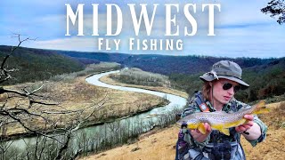 Iowa's Best Brown Trout: The Promising Fly Fishing Haven