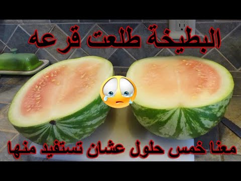 لو البطيخة طلعت قرعة ، تعالوا و اعرفوا ممكن تستفيدوا منها ازاي 5 وصفات و افكار جديدة