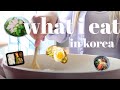 what i eat in korea 🍜🥦🍳 CHEAP + HEALTHY meals