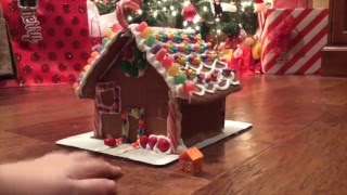 STEM Project
