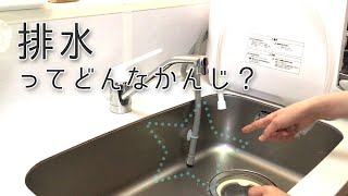 【食洗機】ひたすら排水ドキュメンタリー。