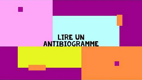 Comment lire un antibiogramme ?