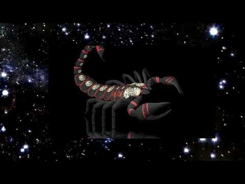 Зодиак скорпион видео. Скорпион знако золиака. Зодиак скорпион видео. Скорпион зодиак. Скорпион.