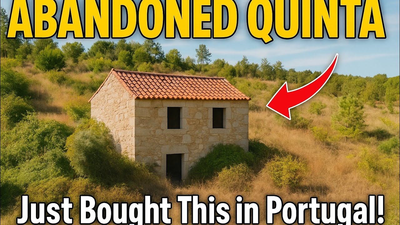 Abandon Quinta — мы купили ферму нашей мечты в Португалии