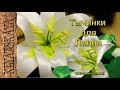 Тычинки для Лилии/(ENG SUB)/Stamens for a lily/ Марина Кляцкая