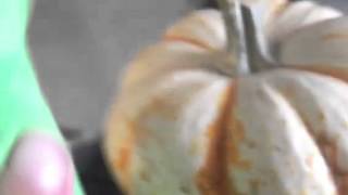 Explode fat man