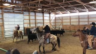 Celebrity 2018 Big Loop Roping 2 Net Worth