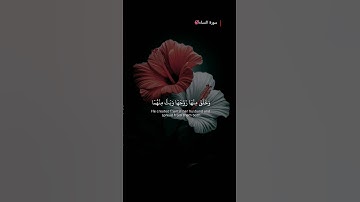 #سورة_النساء | يَا أَيُّهَا النَّاسُ اتَّقُوا رَبَّكُمُ الَّذِي خَلَقَكُم مِّن نَّفْسٍ وَاحِدَة