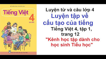 Luyện từ và câu 4 tuần 1 - Luyện tập về cấu tạo của tiếng - SGK Tiếng Việt 4 trang 12