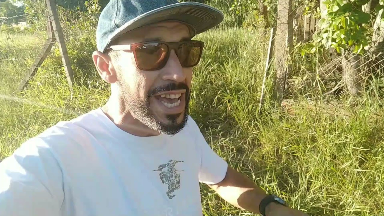 Os meus olhos precisam ser bons | Alex Fuchs