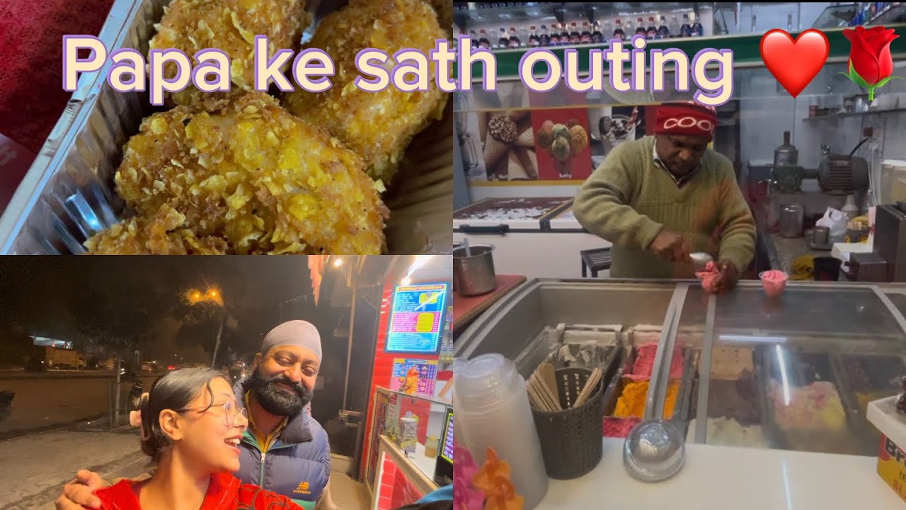 Tilak Nagar Mein Momos Aur Ice Cream Party! 🥟🍦 (Family Outing)  unfiltered diyaa