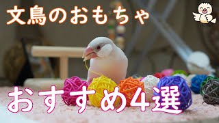 文鳥のオススメおもちゃ4選＋おまけ　【初心者さん向け】　Java sparrow