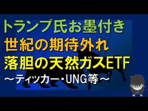 トランプ氏お墨付き　世紀の期待外れ　落胆の天然ガスETF