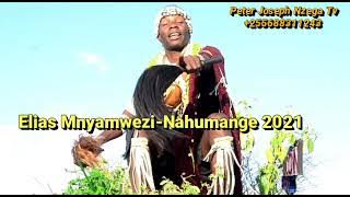 Elias Mnyamwezi - Nahumange ( Music Audio 2021)