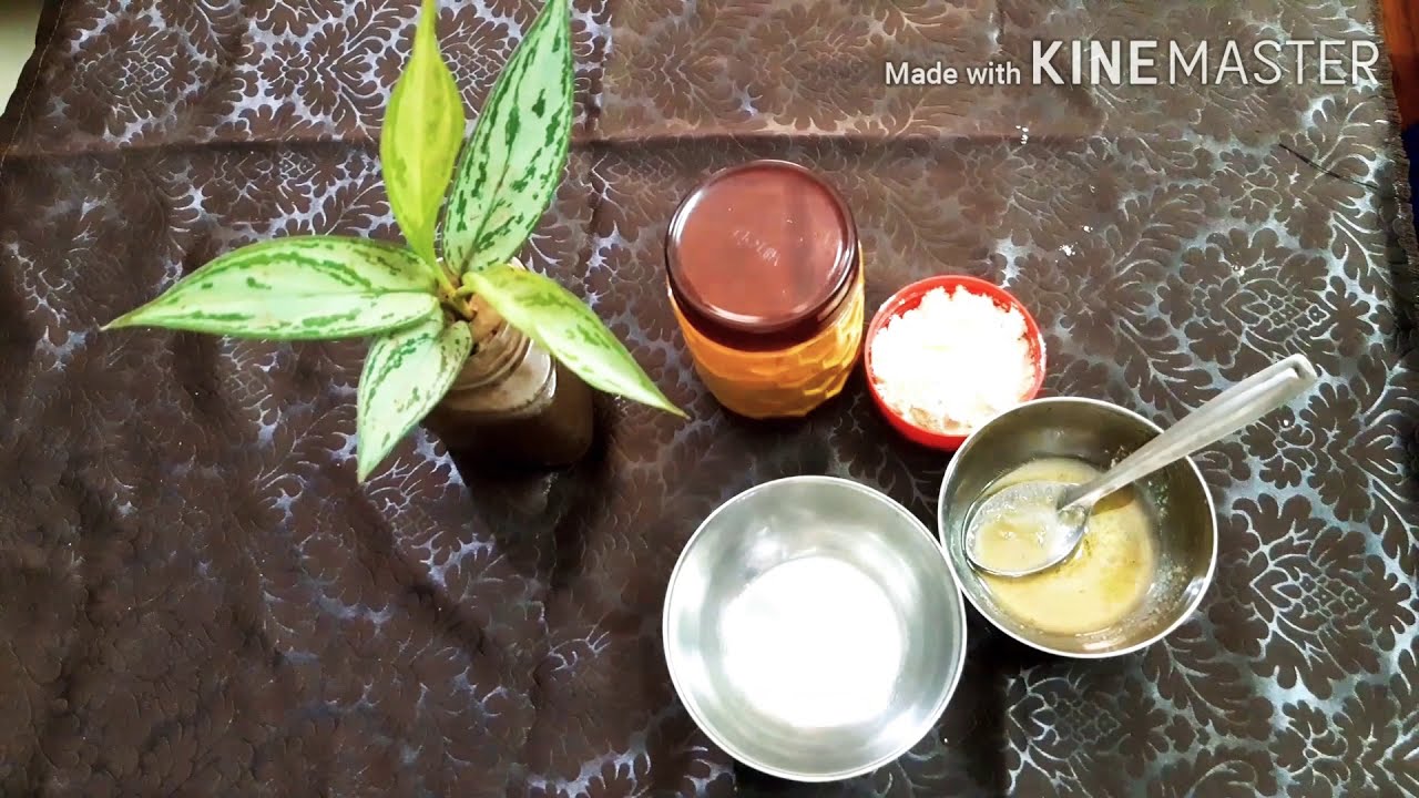 Facial Hair remove at homekannada easy beauty tips 2020Rekha's recipe