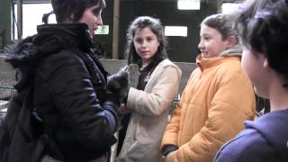 Ed. Primaria - O Kiriko.mpg