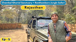EP-5 Sawai Madhopur- Ranthambore, Rajasthan | Chambal Gharial Sanctuary | Tikkar roti Rajasthan