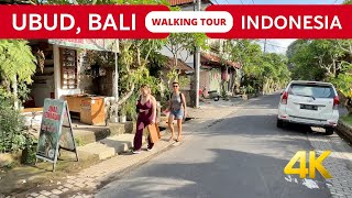 Ubud Bali Indonesia 2024 🇮🇩 City centre Walking tour