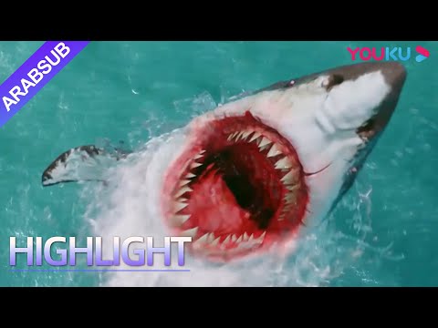 الأخطبوط الكبير ألقى الرجل في البحر وأنقذه الأخطبوط الصغير في لحظة خطيرة أكشن مغامرة كارثة YOUKU 