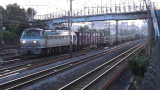 東海道貨物線 貨物列車(EF66 125+コキ19両) 相模貨物駅到着