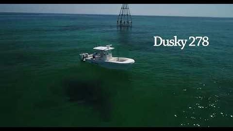 Dusky 278