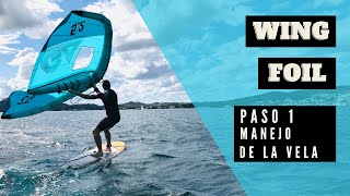 Wing Foil para principiantes - Paso 1: manejo del ala | Wind Fornells