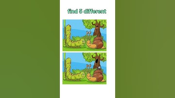 Find 5 difference,🧩 Puzzles #31 spot the difference