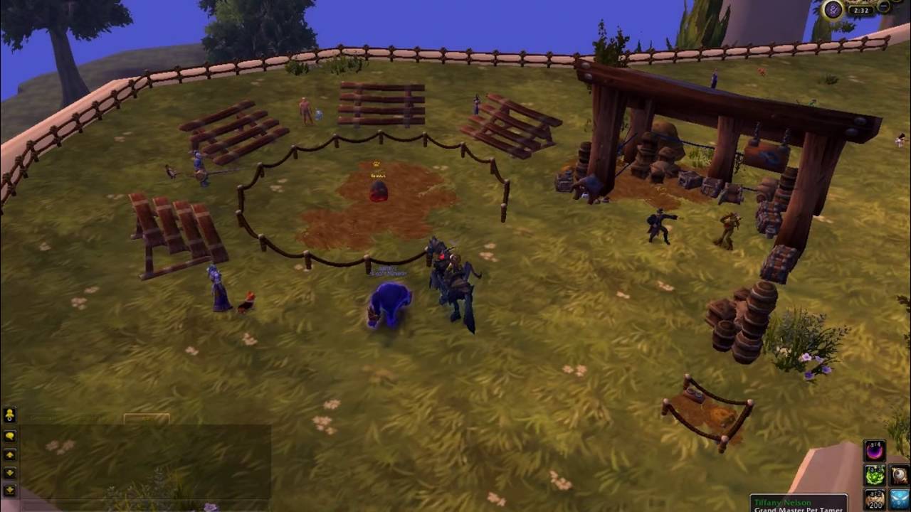 Dalaran pet battle area YouTube