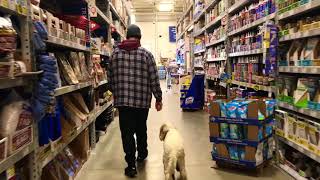 Bethlehem Dog Trainers: Off Leash K9 Training ||| 7 month old Labradoodle, Bash