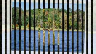 19299 N Us Hwy 59, 4000 Sq Ft Home For Sale On 85Acres, Garrison, Tx