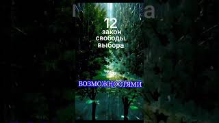 #саморазвитие #самопознание #12 закон свободы выбора