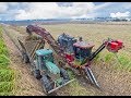 Cane Harvest 2017 with a Case IH Sugarcane Harvester 4K video