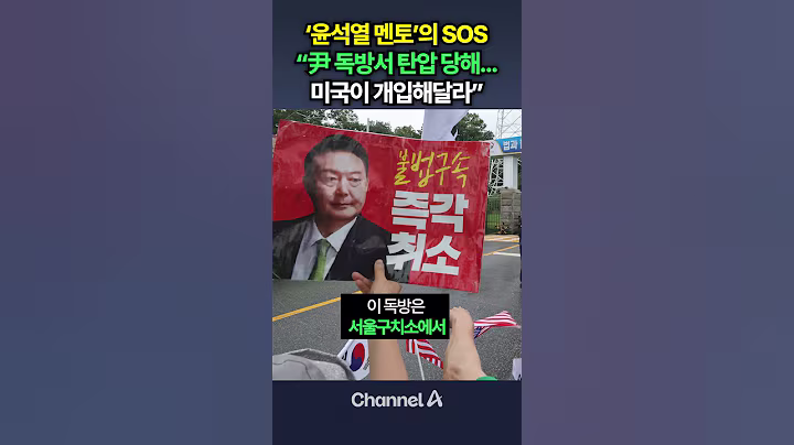 ‘윤석열 멘토’ 신평 “尹 독방, 유영철 같은 사형수 배당되는 곳…미국 개입해달라” / #채널A #shorts #DLAB