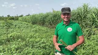 l'interview de Steven entrepreneur agricole (Agro Consulting Sénégal)