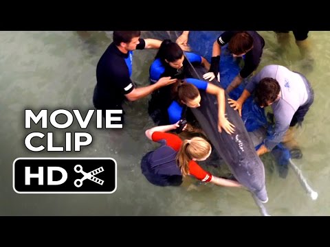 Dolphin Tale 2 Movie CLIP - We're Good Here Kyle (2014) - Morgan Freeman Dolphin Drama HD
