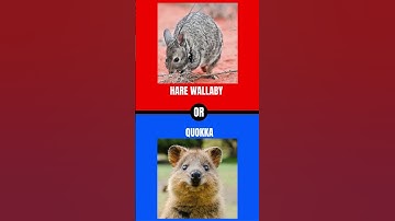 can you decide? comment down below your answers #wouldyourather #challenge #shorts