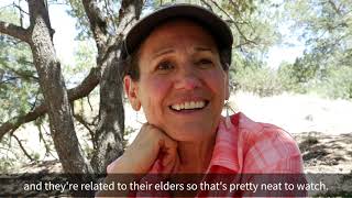 Youth, Elders and and Scientists  | Ute STEM Project