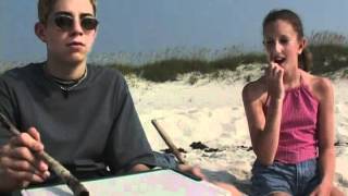 This Darkness: The Vampire Virus (Surfing Attack)