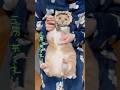 バズっちゃバズっちゃやだ🥺？