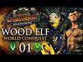 WHAT IF WOOD ELVES CONQUERED THE WORLD IN TOTAL WAR: WARHAMMER 3?!