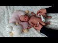 Full body silicone baby lena change luna de jennie lee