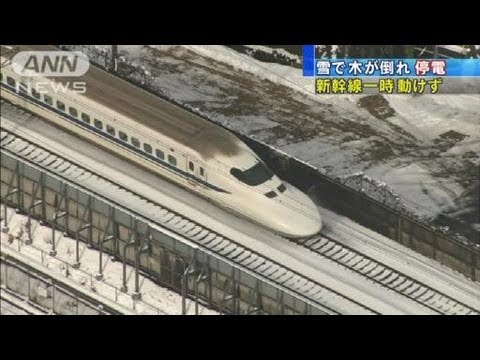 雪で木が倒れ停電　東海道新幹線が一時ストップ（11/12/26） - 雪で木が倒れ停電　東海道新幹線が一時ストップ（11/12/26）