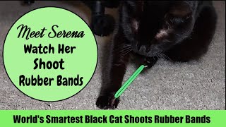 World's Smartest Black Cat Shoots Rubber Bands by Serena the kAt 80 views 2 months ago 4 minutes, 32 seconds