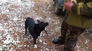 Четыре Дня В Тайге. Особенности Национальной Рыбалки. Хариус На Спиннинг. Таёжный Быт, Изба. Часть 2