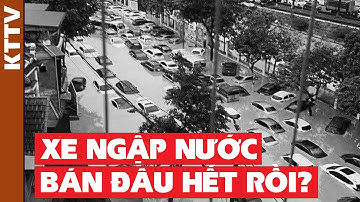 Xe ngập nước bị bán đi đâu? Sự thật là gì?