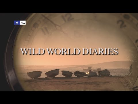 Wild World Diaries Promo