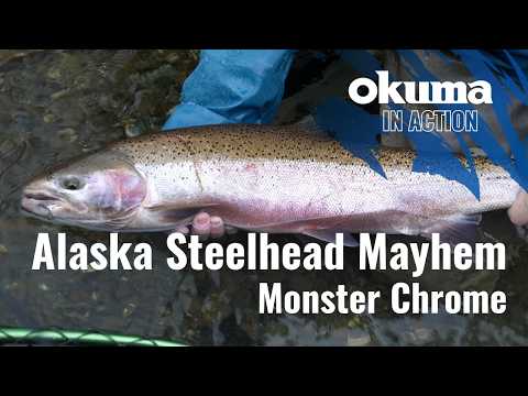 Alaska Steelhead Mayhem! Monster Chrome with Denis Isbister